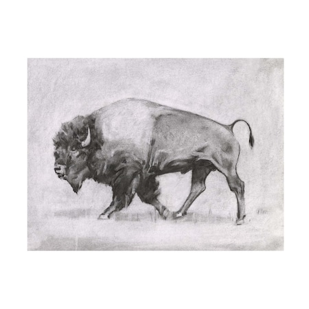 Emma Scarvey 'Wild Bison Study II' Canvas Art, 14x19